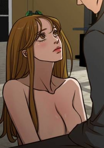 钢之炼金术师 封面